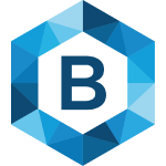 React Developer